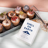 Shell On Earth | Crushed Whelk Shells - Mini Bag (1KG)