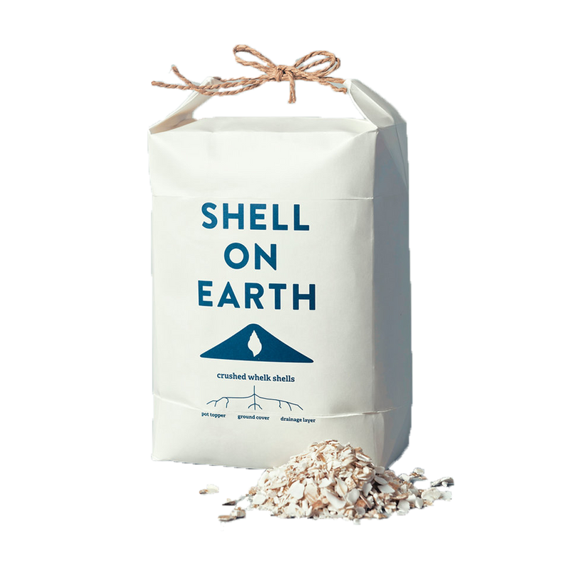 Shell On Earth | Crushed Whelk Shells - Small
