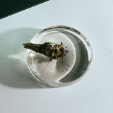 Earl of East | Sage Bundle