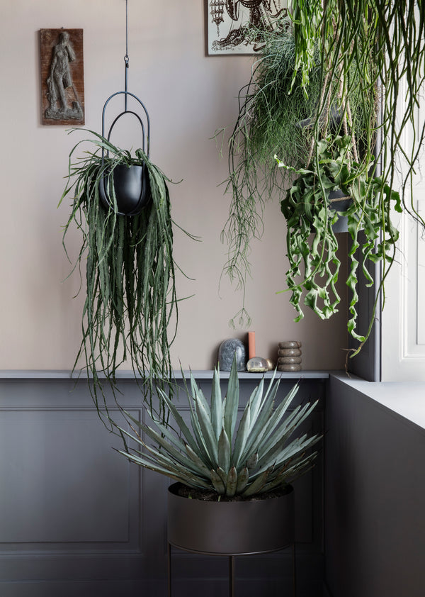 GREEN LIVING