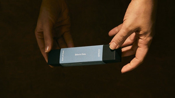 From the Nikko Mountains to Your Home: Our New Incense Ritual