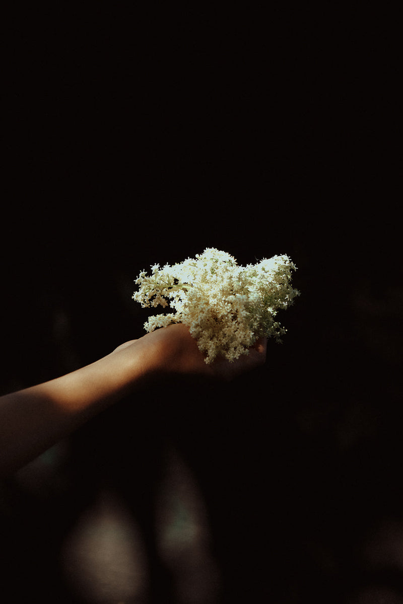  Summer Elderflower Cordial Recipe 