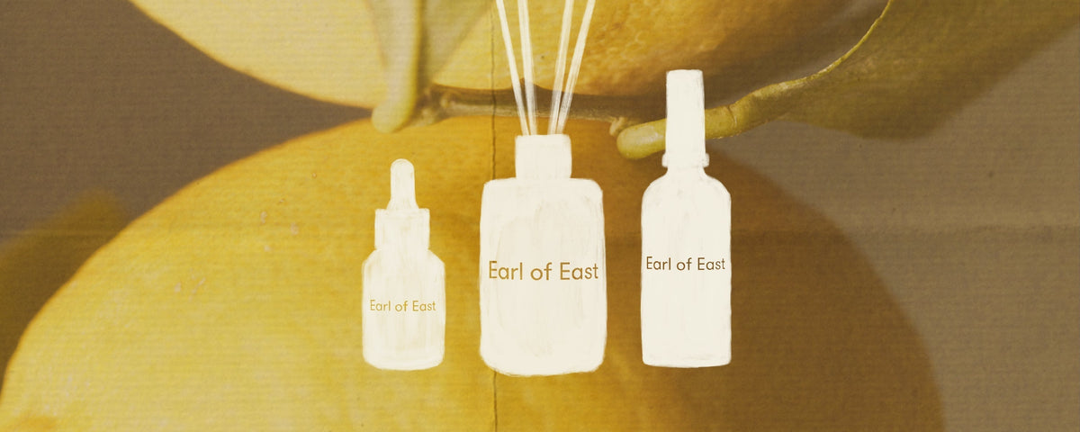SCENT ALL SUMMER