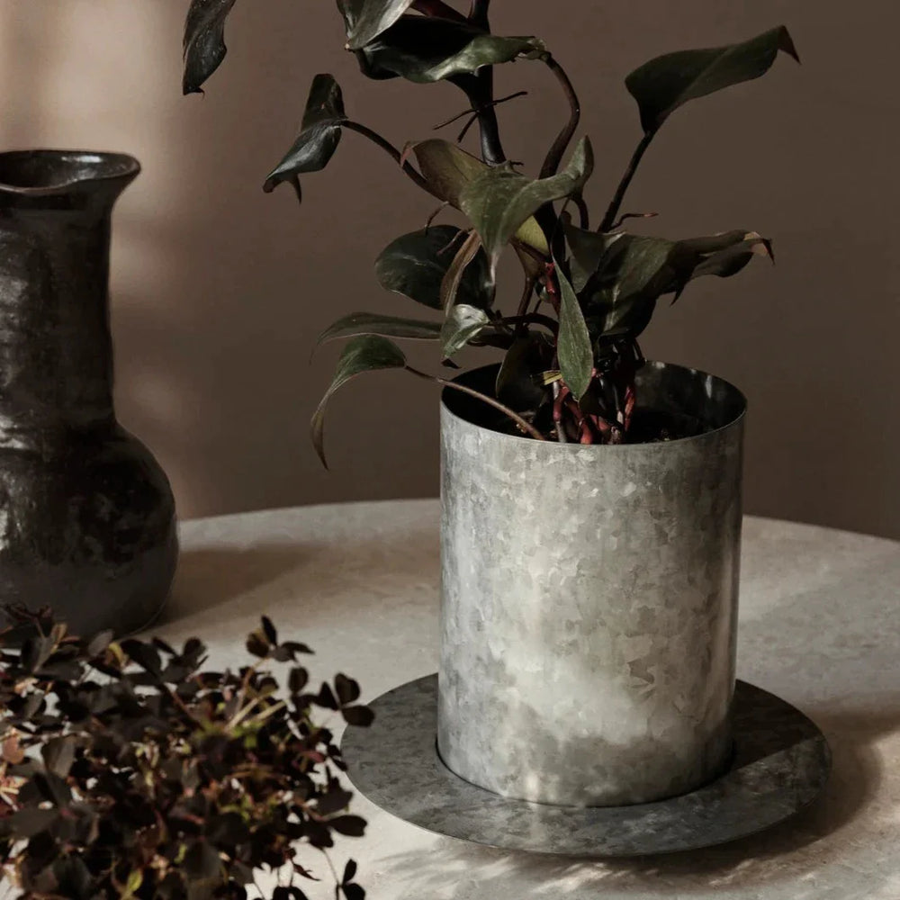 Auran Pot, Galvanized, Large by ferm LIVING, holding a plant beside scattered seeds