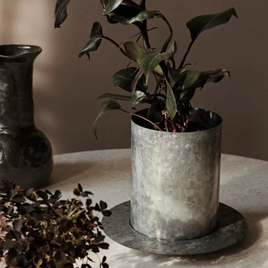 Auran Pot, Galvanized, Large by ferm LIVING, holding a plant beside scattered seeds
