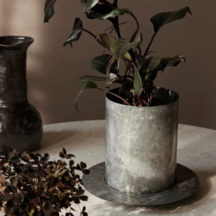 Auran Pot, Galvanized, Medium by ferm LIVING, holding a plant beside scattered seeds