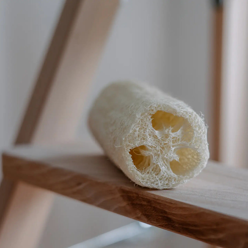 Loofah Sponge by Croll & Denecke, on a bath board