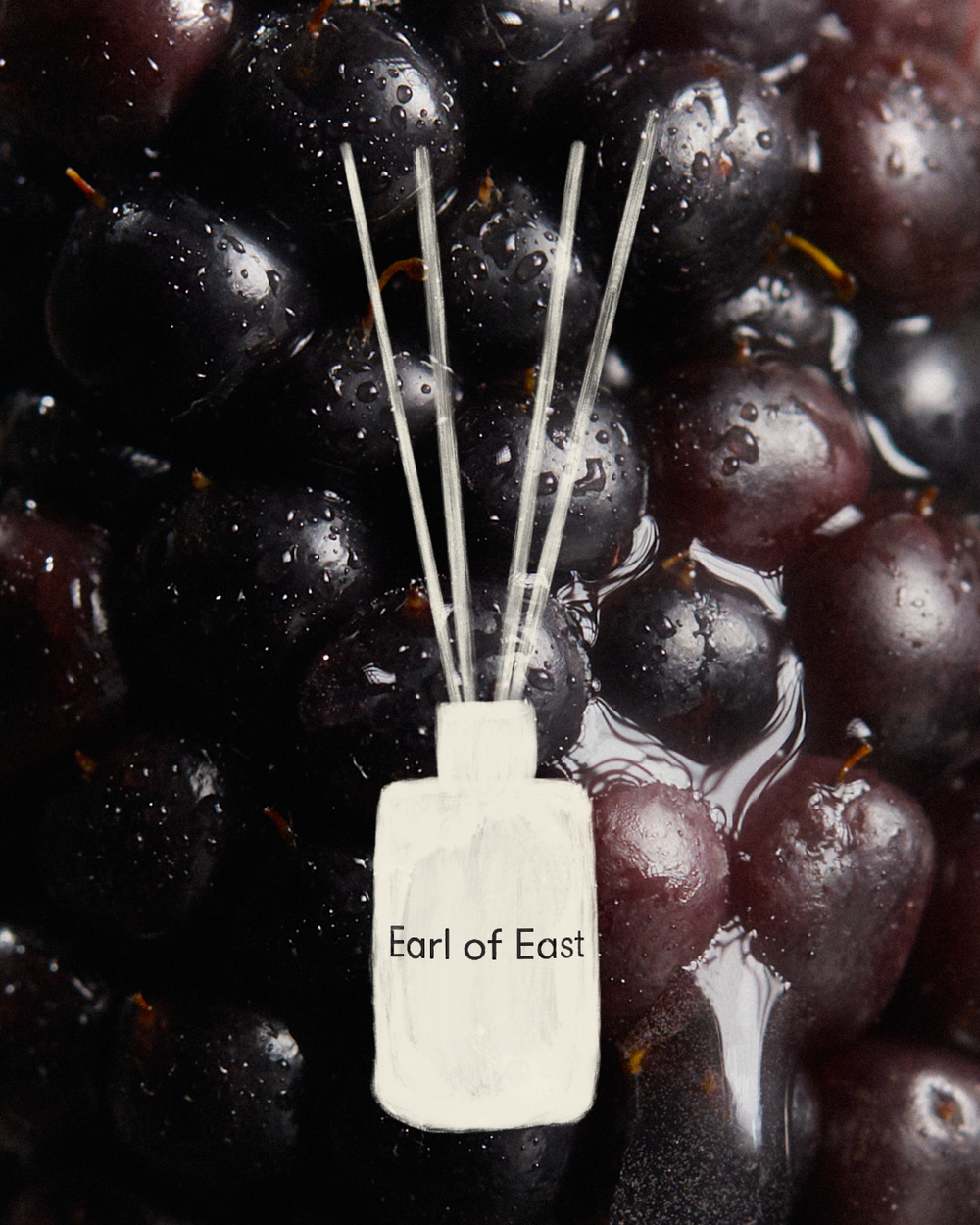 Jardin de la Lune Fragrance Oil Blend, 30ml by Earl of East, against dark grapes
