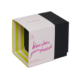 Earl of East | Limited Edition Wildflower Scented Candle - 260ml