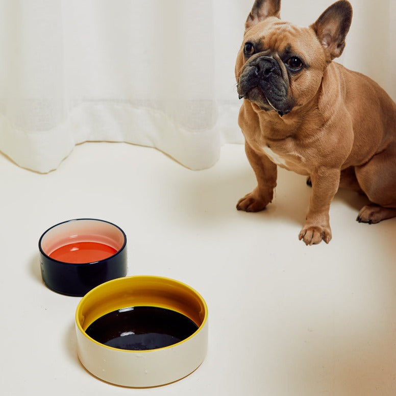 Dogs Bowl, Small, Red/Blue by HAY, pair with a French bulldog