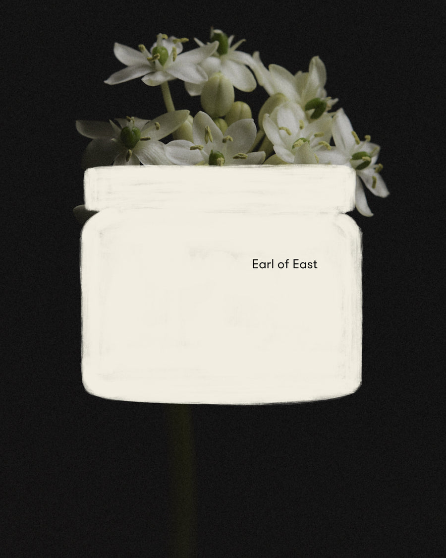 Wildflower Large Scented Candle, 500ml by Earl of East, against dried hydrangea