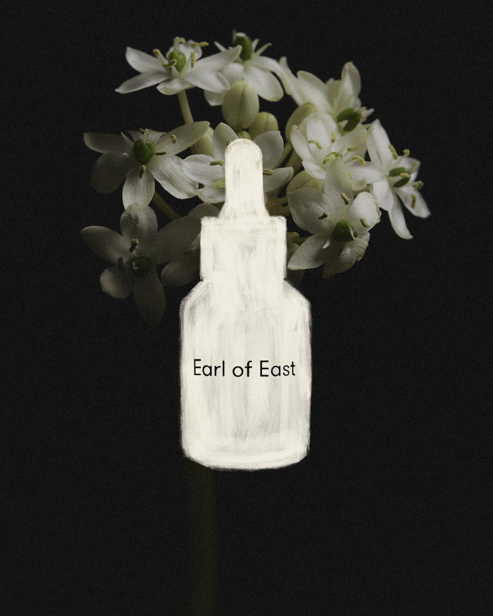 Wildflower Fragrance Oil Blend, 30ml by Earl of East, against dried hydrangea