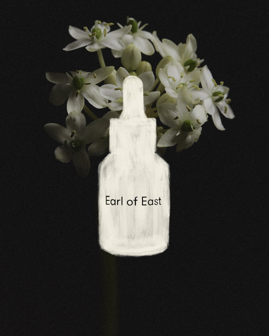 Wildflower Fragrance Oil Blend, 30ml by Earl of East, against dried hydrangea