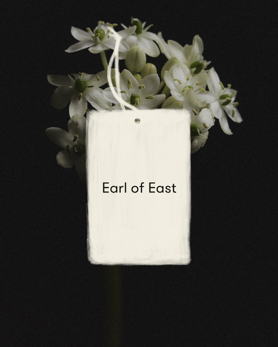 Wildflower Air Freshener by Earl of East, against dried hydrangea