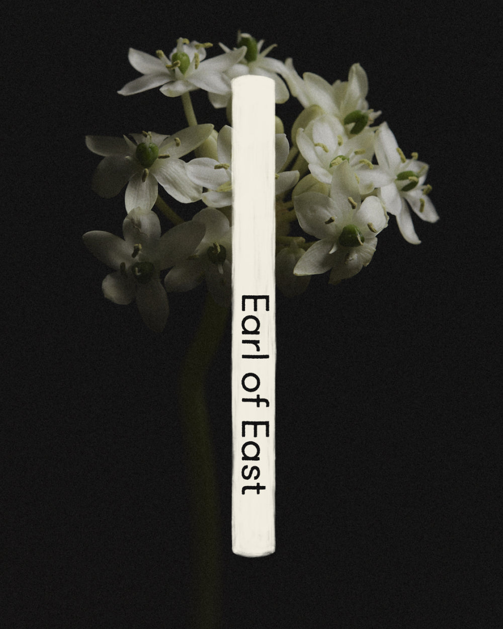 Wildflower Incense Sticks by Earl of East, tube against dried hydrangea
