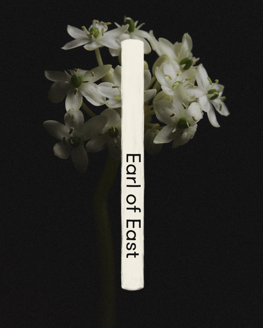 Wildflower Incense Sticks by Earl of East, tube against dried hydrangea