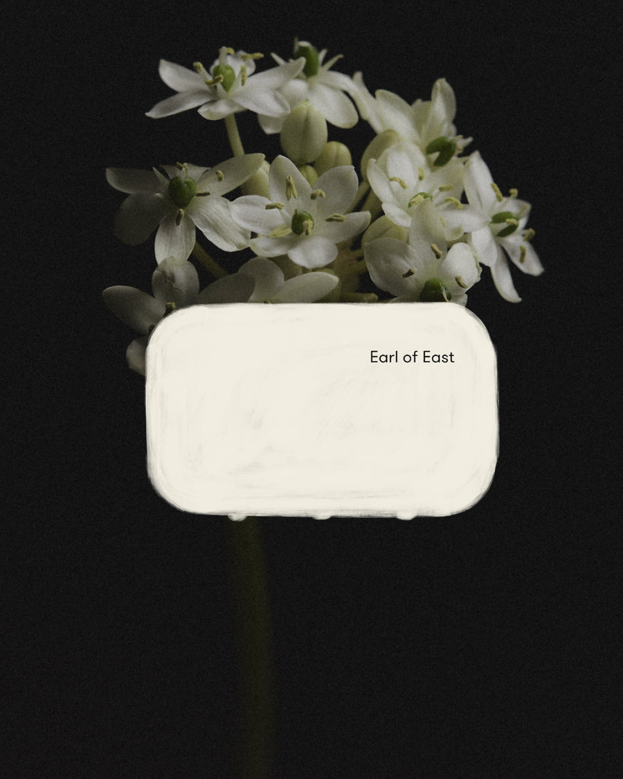 Wildflower Incense Cones by Earl of East, tin against dried hydrangea