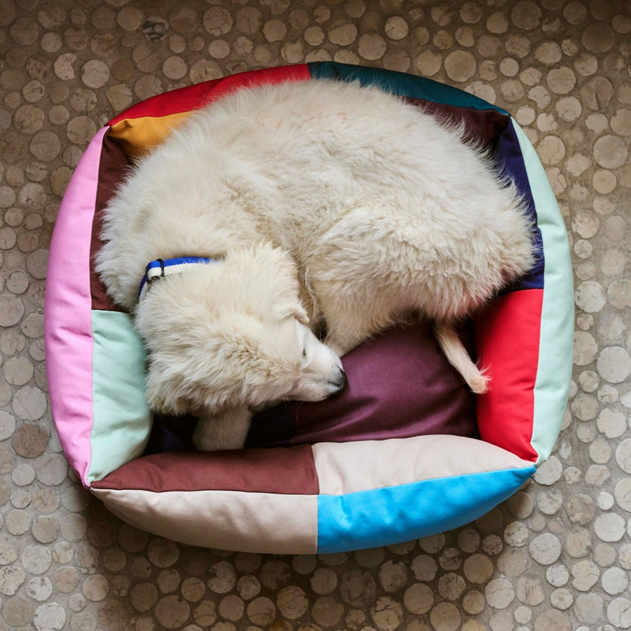 Dogs Bed with Zipper, Medium, Multi by HAY, with a fluffy white dog asleep in it