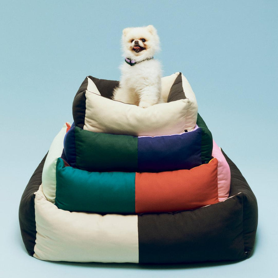 Dogs Bed with Zipper, XSmall, Black & White by HAY, stacked in a range of colours with a small white dog