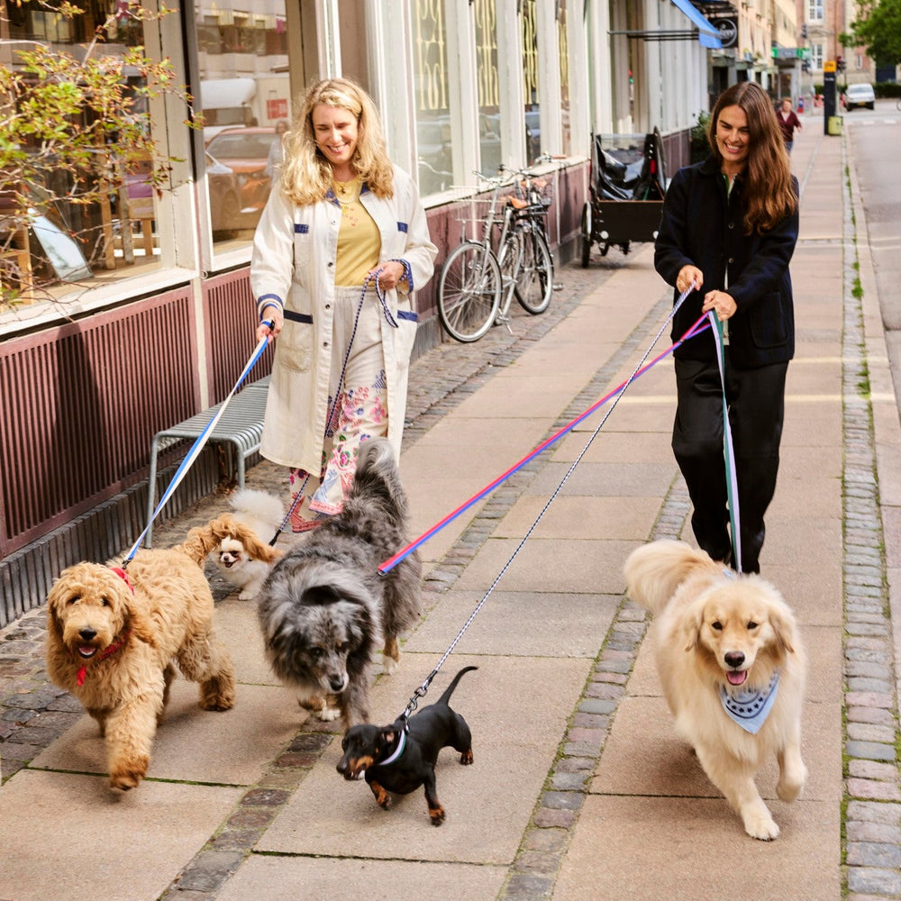 Dogs Leash, Flat, Blue/Black Check by HAY, walking dogs on a city street
