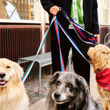 HAY | Dogs Leash - Flat - Black/White