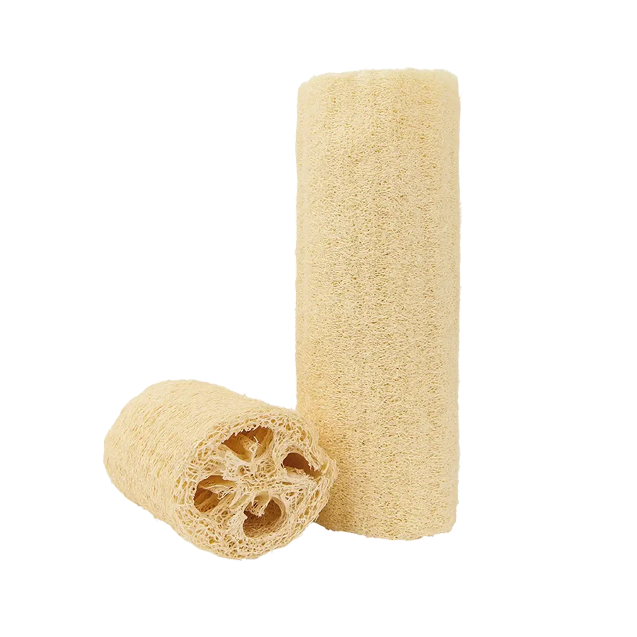 Loofah Sponge by Croll & Denecke