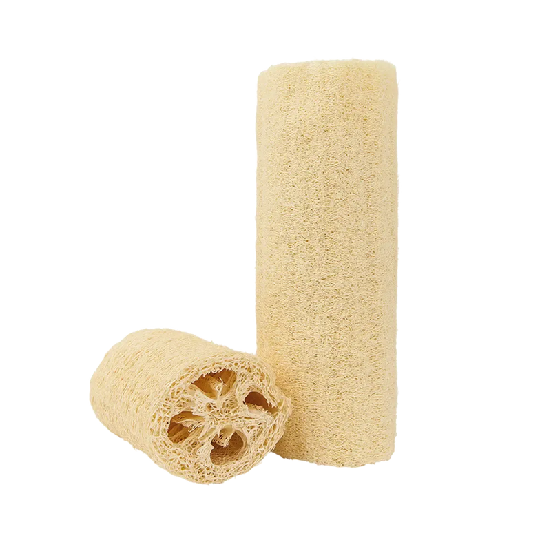  Loofah Sponge by Croll & Denecke 