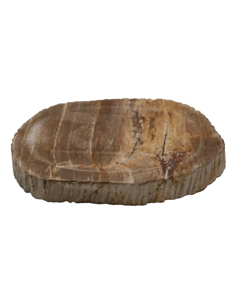  Petrified Wood Soap Dish, Brown by Earl of East 