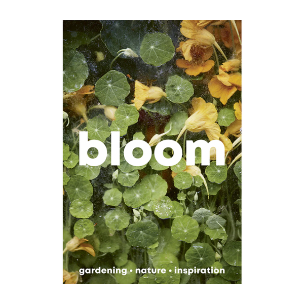 Bloom | Issue 15 - Autumn/Winter 2023