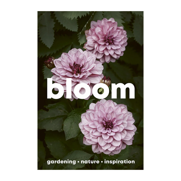 Bloom | Issue 16 - Spring/Summer 2024