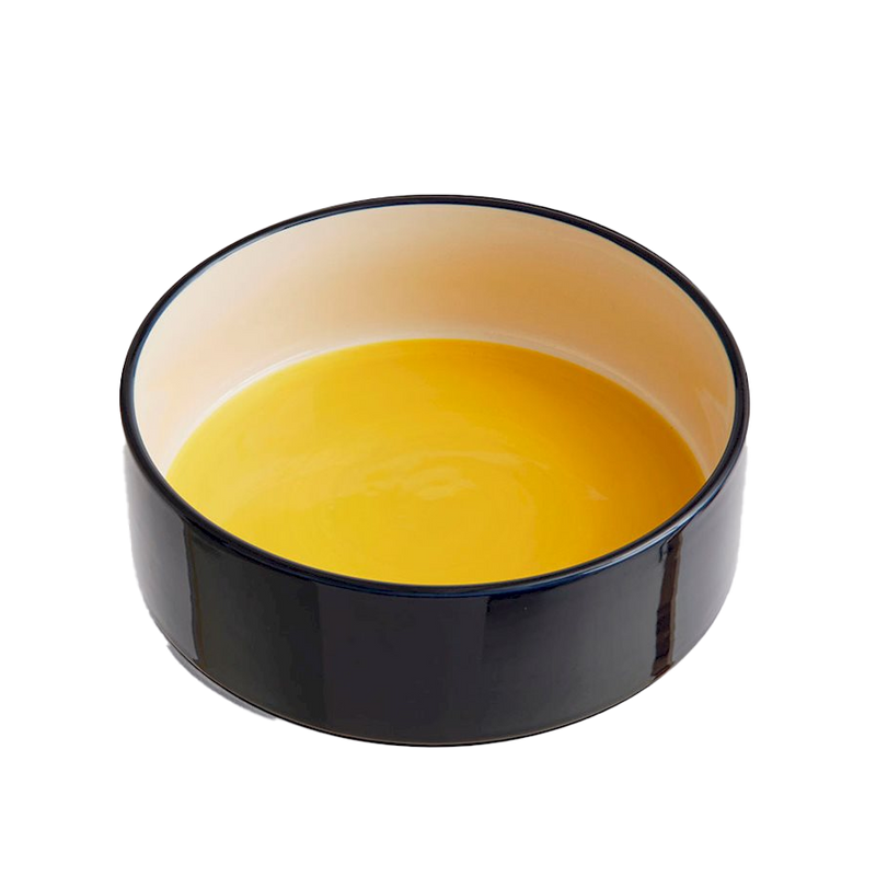 HAY | Dogs Bowl - Large - Yellow/Blue