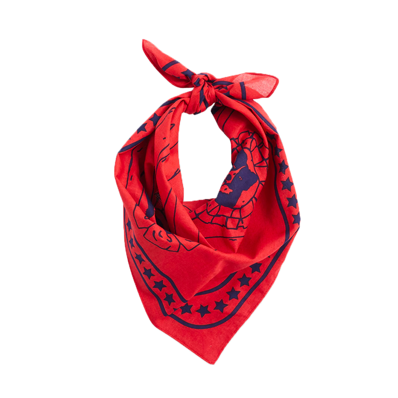 HAY | Dogs Scarf - Red