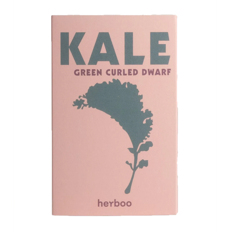 Herboo | Kale 'Green Curled Dwarf' Seeds