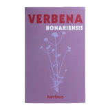 Herboo | Verbena Bonariensis Seeds