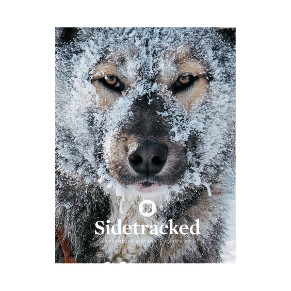 Sidetracked Magazine | Volume 29
