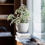 ferm LIVING | Speckle Pot - Off White - Small
