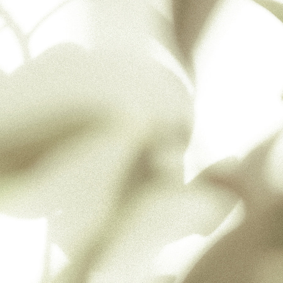 Viagem, Soy Wax Candle, 260ml [9.1oz] by Earl of East, close-up of the creamy wax