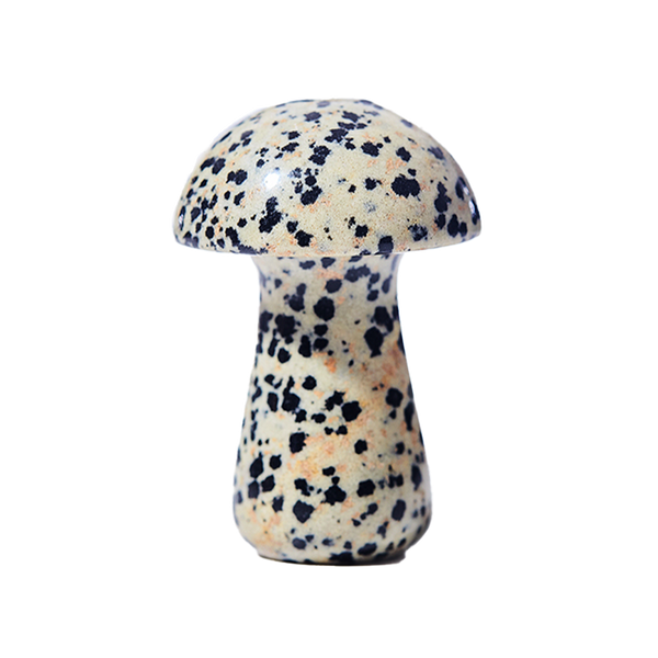 Herbar | Gua Shroom - Dalmatian