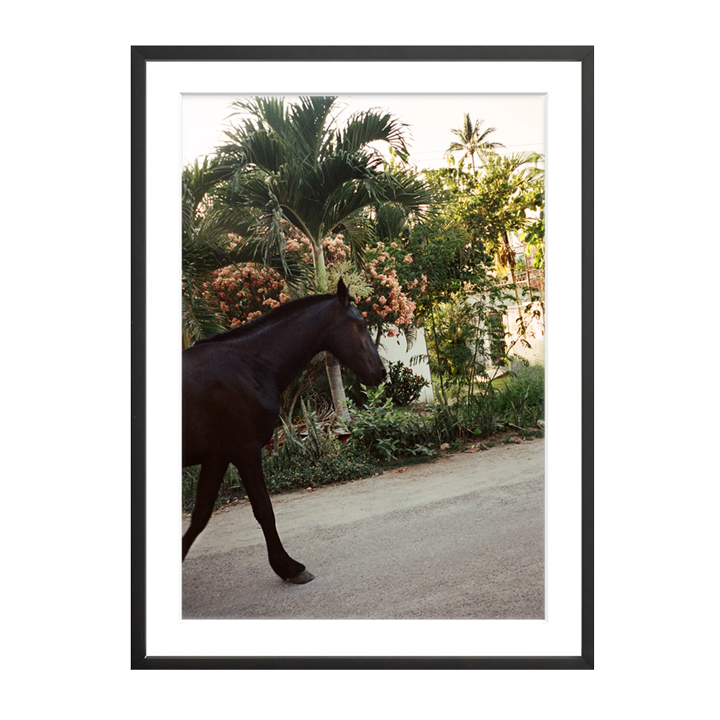 The Happiness Collective | 'A Horse With No Name' On Film - Framed Print