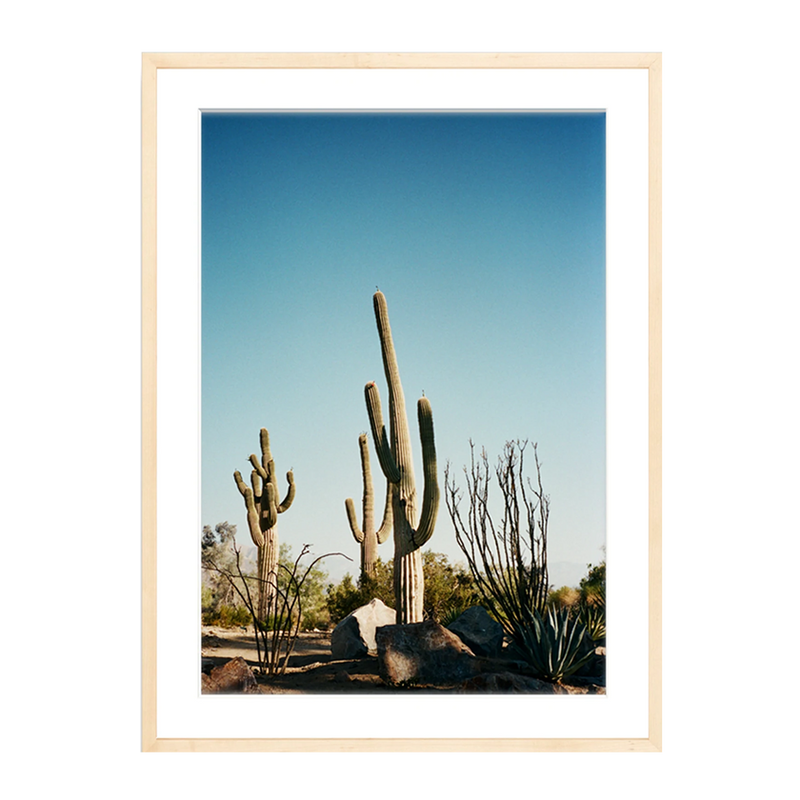  'Stick Em Up' On Film, Framed Print by The Happiness Collective 