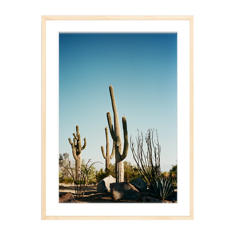 The Happiness Collective | 'Stick Em Up' On Film - Framed Print