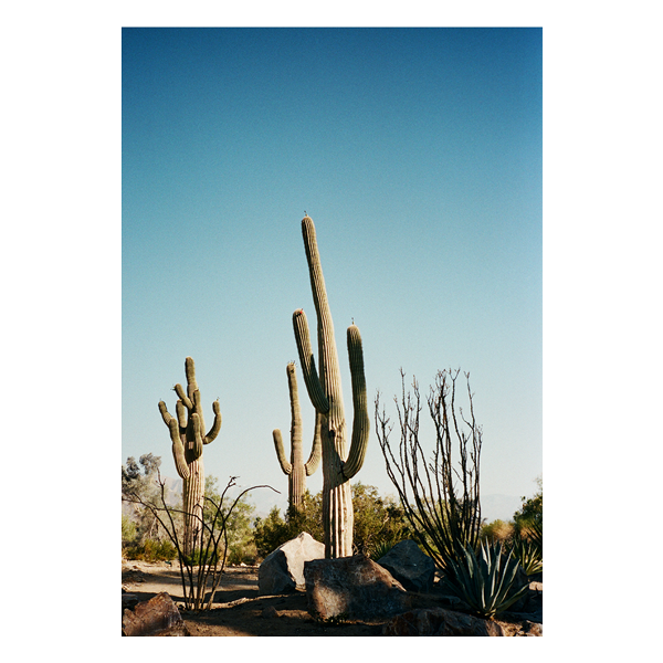 'Stick Em Up' On Film, Framed Print by The Happiness Collective